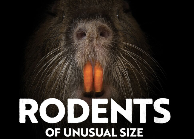 RODENTS OF AN UNUSUAL SIZE
